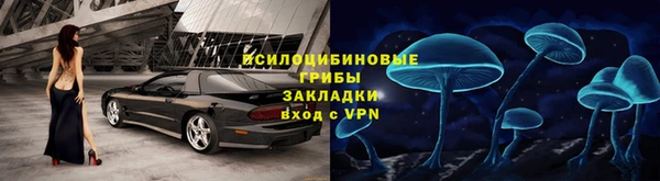 гашик Вязники