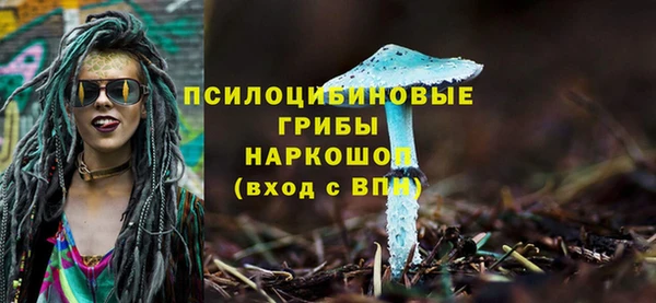 гашик Вязники