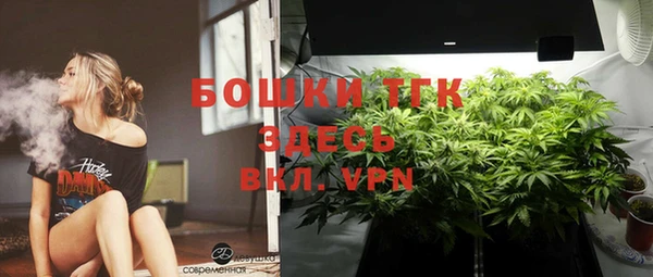 гашик Вязники