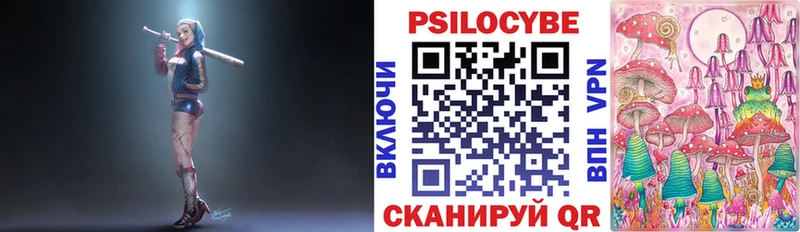 Купить закладки  Белоусово  Псилоцибиновые грибы Psilocybe 